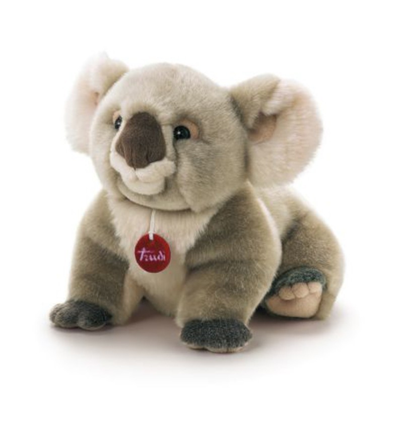 Peluche Koala Jamin M