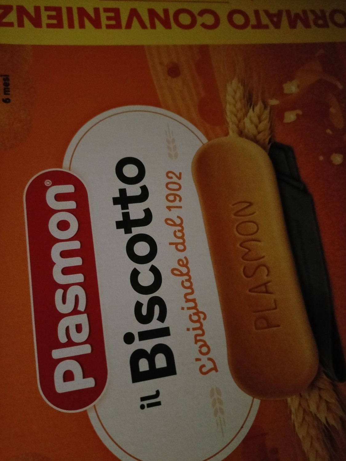 Plasmon - MammacheTest